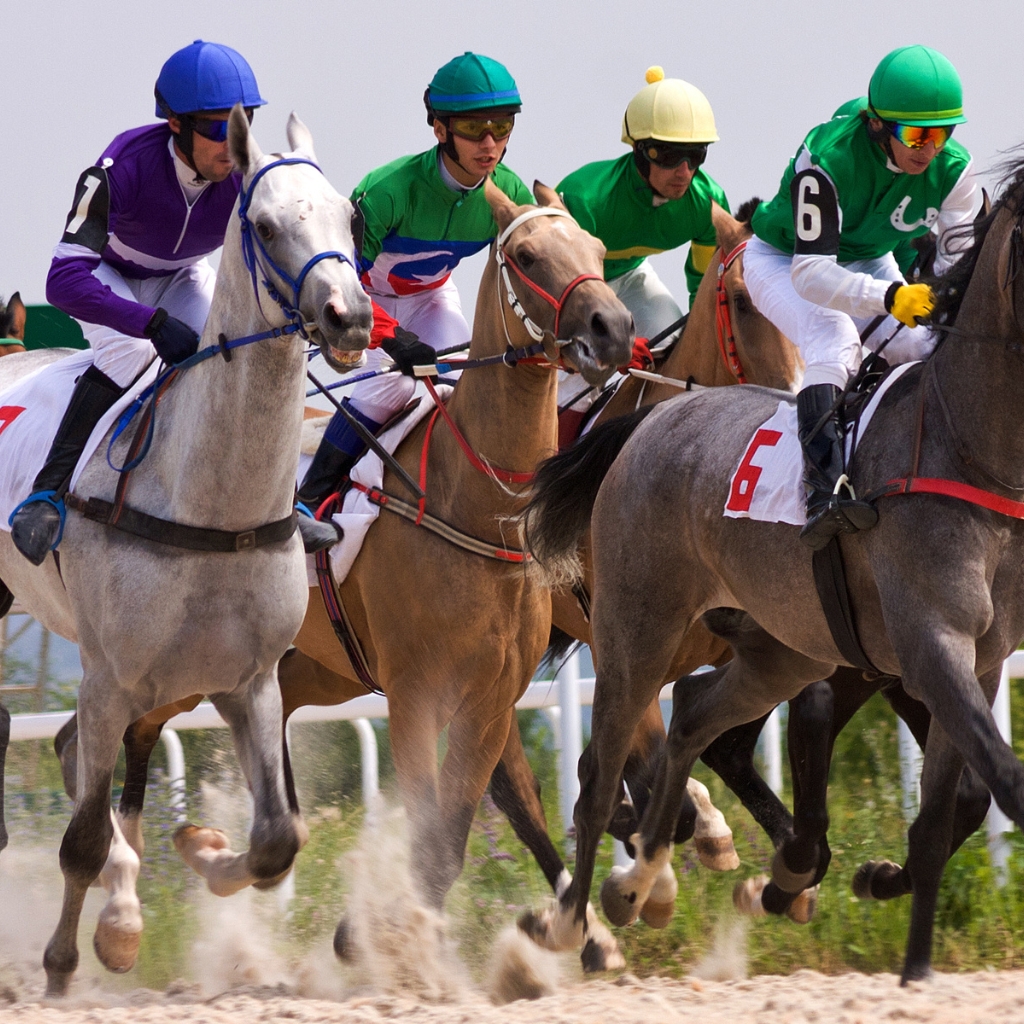 Horse Racing